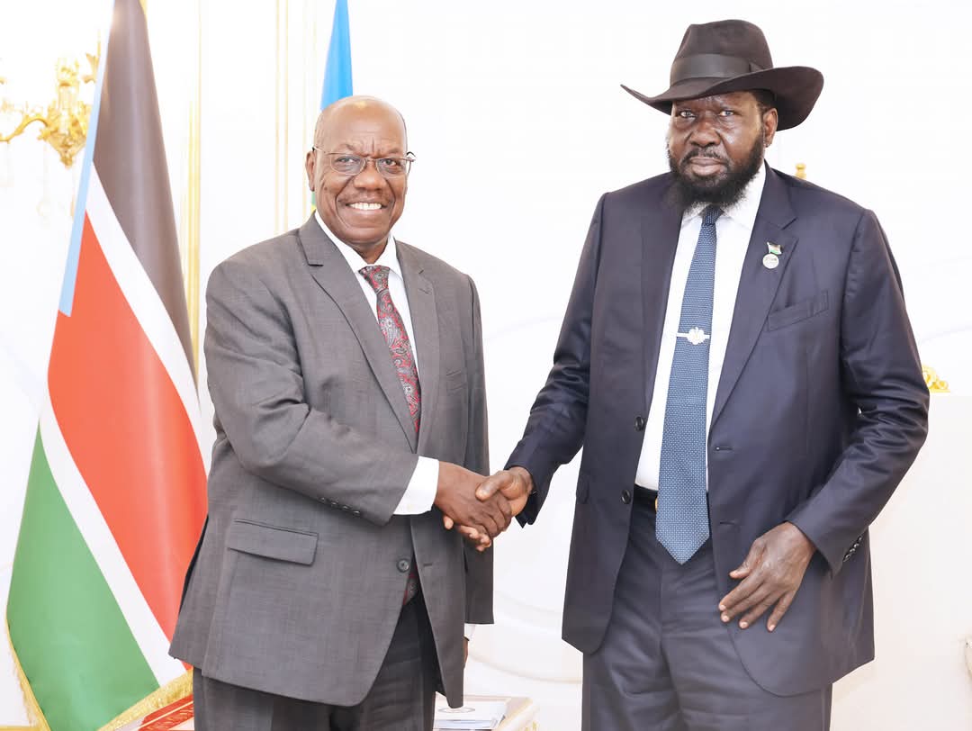 The President Receives a Comprehensive Briefing on the Progress of the RJMEC