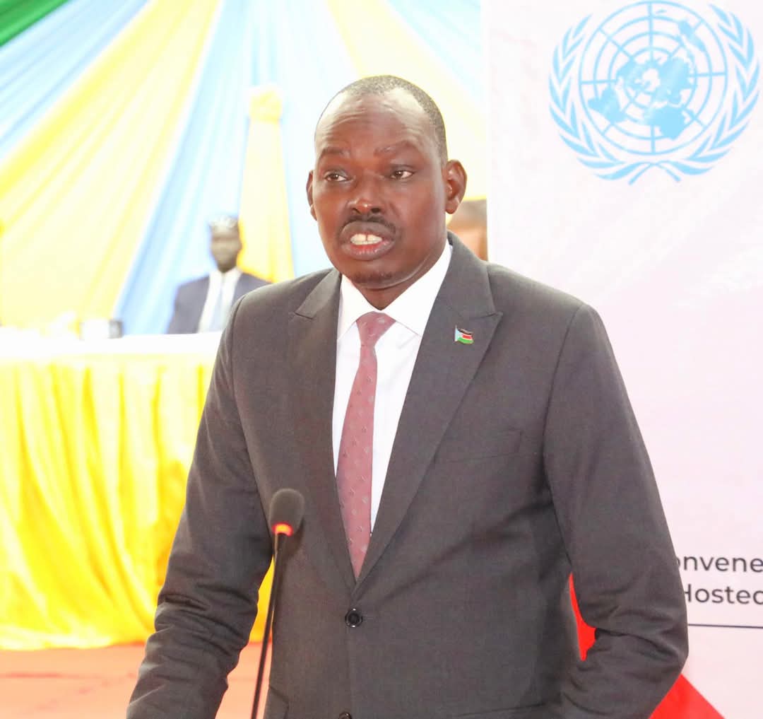 Minister of Finance and National Planning: Crises and Multiple Shocks Hindering Economic Stability