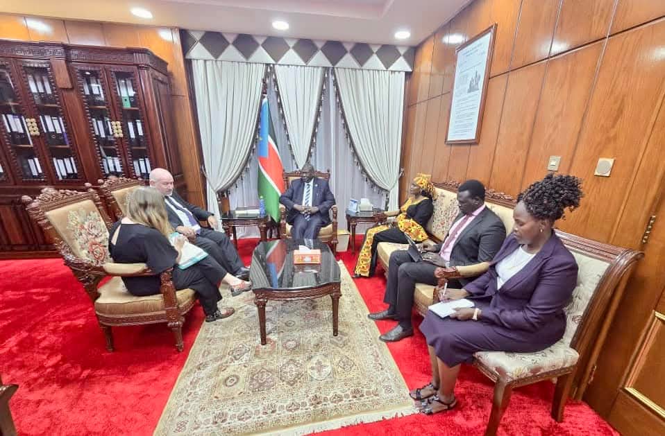 First Vice President Discusses Bilateral Relations with UK Ambassador