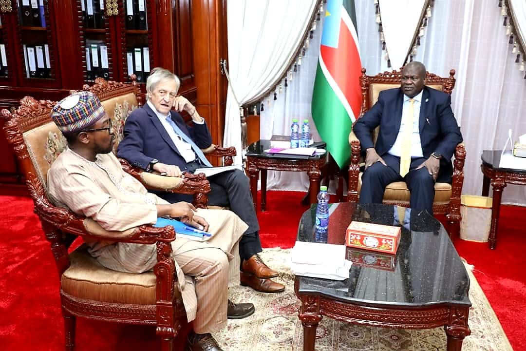 The First Vice President Discusses Security and Peace Issues with the UN Special Representative