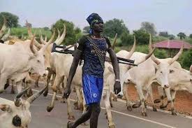 Army leader instructs Jonglei herders to return home from Eastern Equatoria