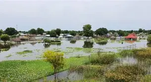 New Floods Displace Over 40,000 in Jonglei and Pibor as MPs Call for Urgent Intervention