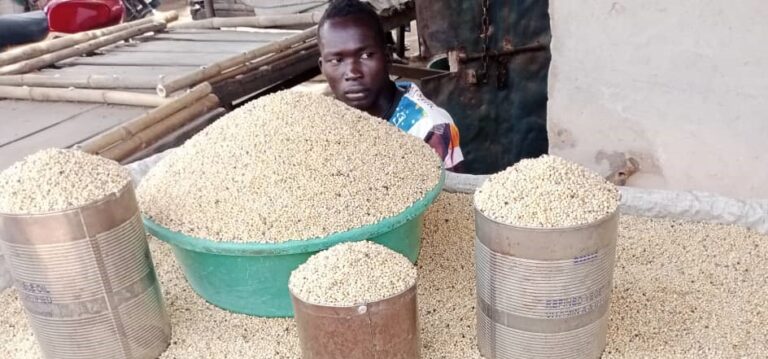 Leer County Commissioner Exempts Imported Sorghum from Taxes to Ease Food Costs