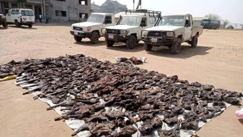 UOPPs Disown Former Chairperson, Clarify Pos tion on Internal Disputes